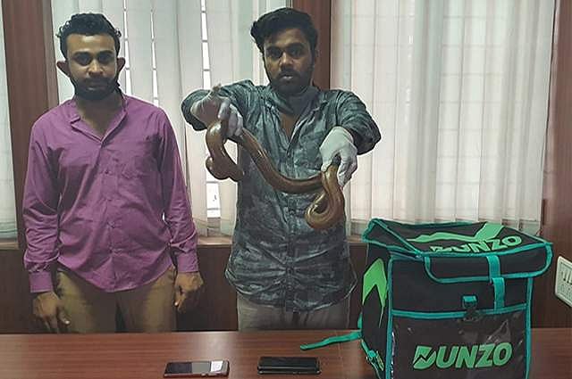 டெலிவரி பையன்களை போல் வேடமிட்டு இரு தலை பாம்பை விற்க முயன்றவர்கள் கைது