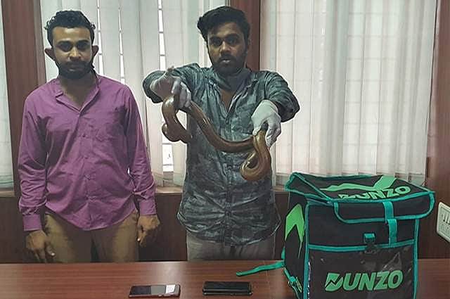 டெலிவரி பையன்களை போல் வேடமிட்டு இரு தலை பாம்பை விற்க முயன்றவர்கள் கைது