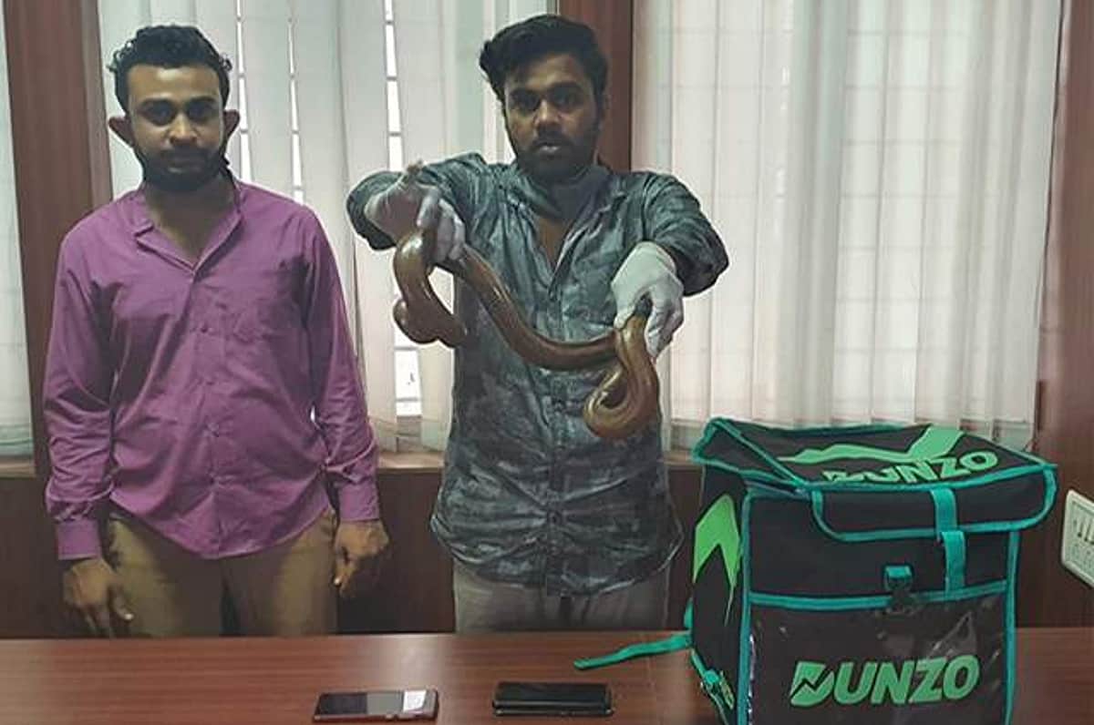 டெலிவரி பையன்களை போல் வேடமிட்டு இரு தலை பாம்பை விற்க முயன்றவர்கள் கைது