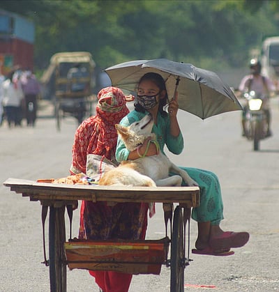 ஊரடங்கு உத்தரவு - 31வது நாள்