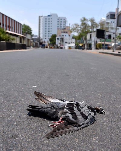 சென்னையில் வெறிச்சோடிய சாலைகள் - 31வது நாள்