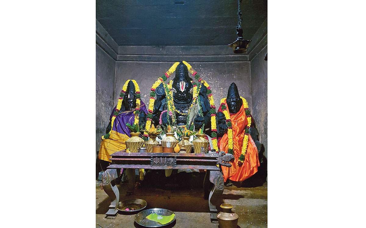 தொண்டைநாட்டுச் சிங்கங்கள்!