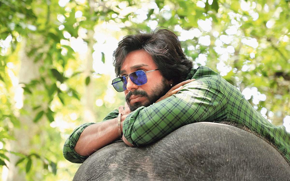 நான் ஒரு யானைப்பாகன்!