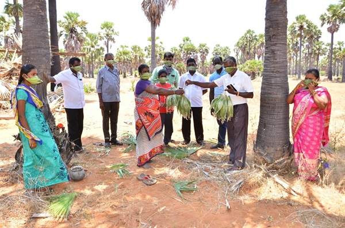 குளத்தூர் அருகே பனையோலை முகக்கவசம் தயாரித்து விற்பனை