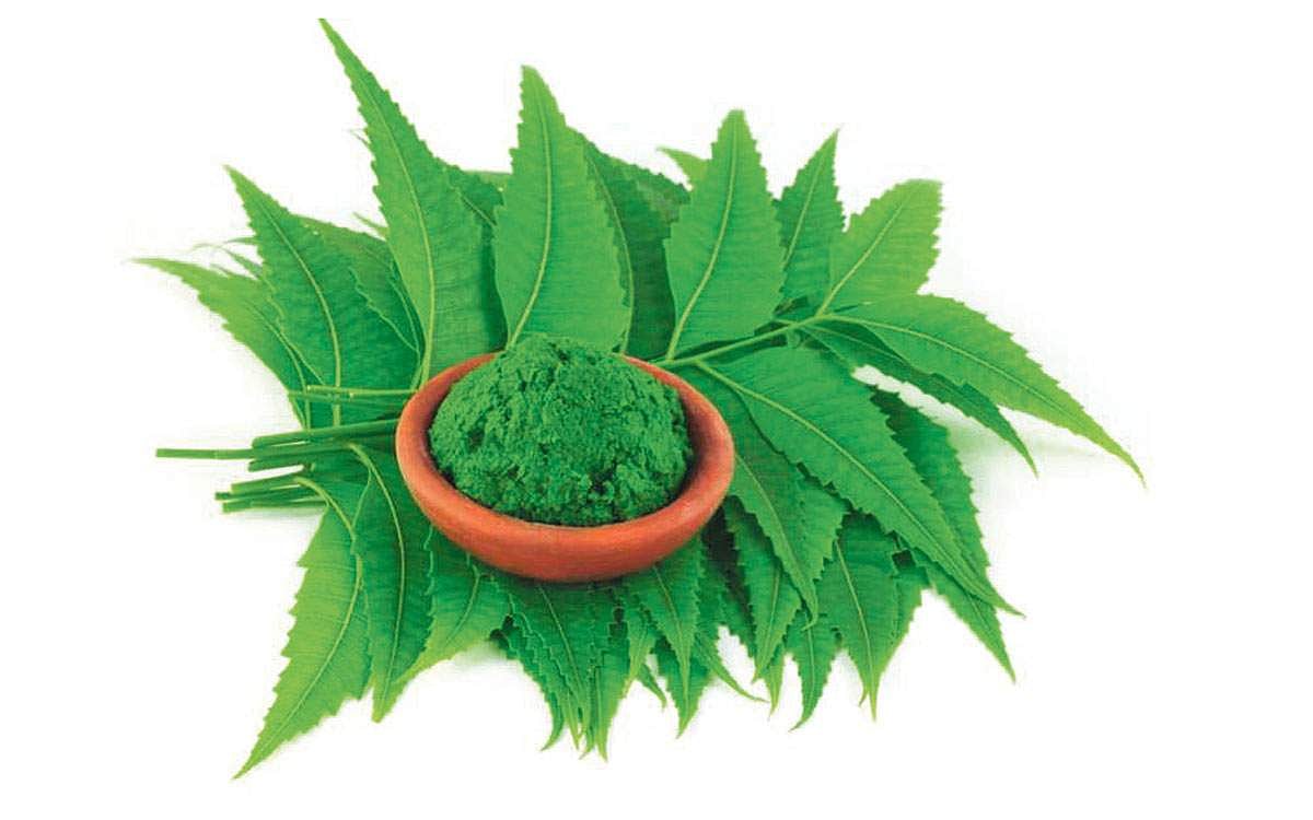 ஆயுள் காக்கும் ஆயுர்வேதம்: கசப்பே மருந்து!