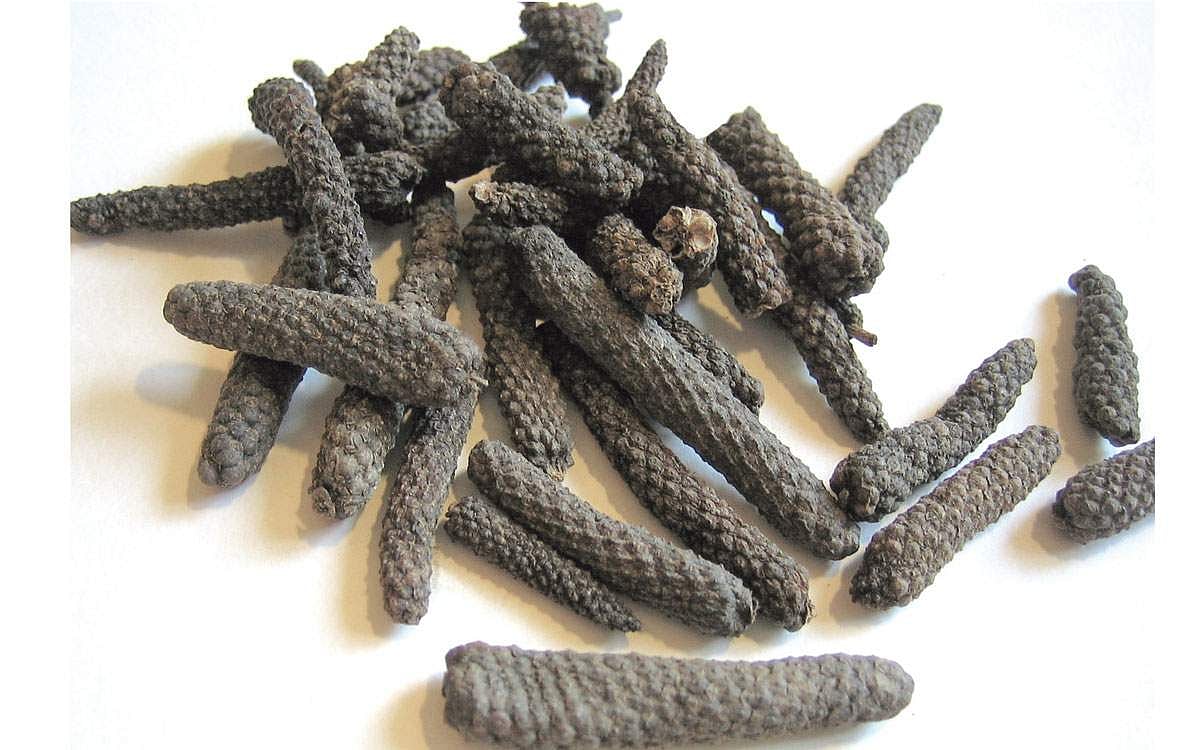 திப்பிலியின் மருத்துவ பயன்கள்!