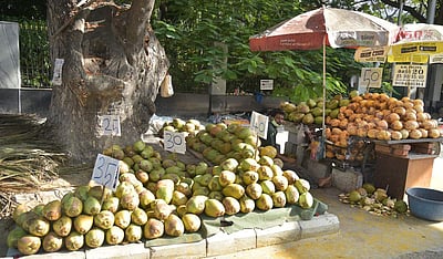 சென்னையில் வெறிச்சோடிய சாலைகள் - 52வது நாள்