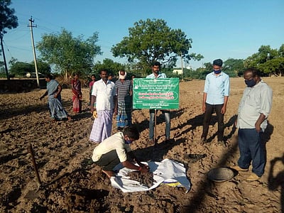 திருவாடனை பகுதியில் வேளாண் துறையினர் மண் மாதிரி சேகரிப்பு 