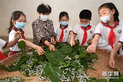 ஹூசோ மாவட்டத்தில் பட்டுப்புழு வளர்ப்பைப் பார்த்து மகிழ்ந்த பள்ளி மாணவர்கள்