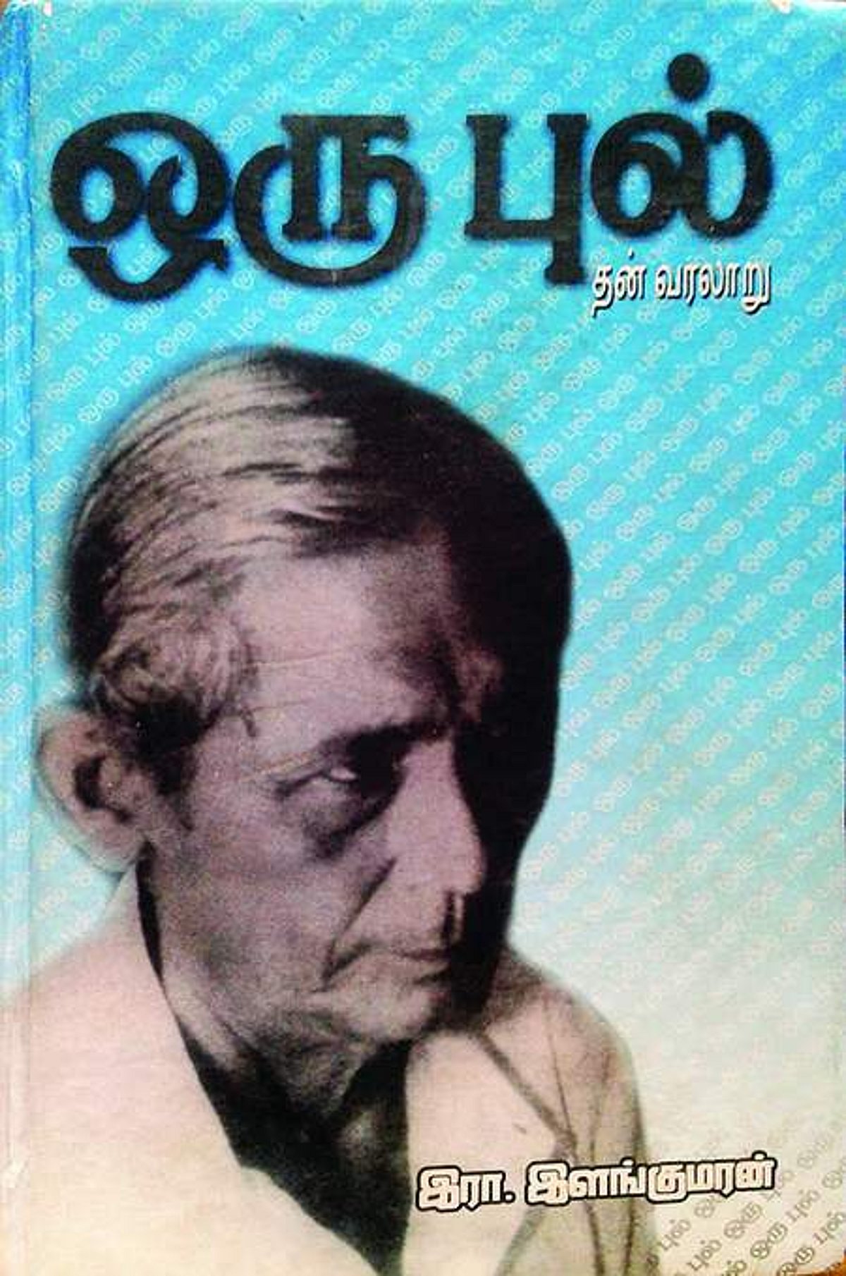 புல் - பெரிதினும் பெரிதுகாண்!