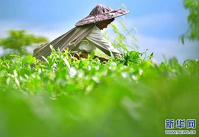 வறுமை ஒழிப்பு இலக்கை நனவாக்குவோம்: சீனா