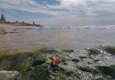 திருச்செந்தூர் கோயில் கடல் உள்வாங்கியதால் வெளியே தெரிந்த பாறைகள்