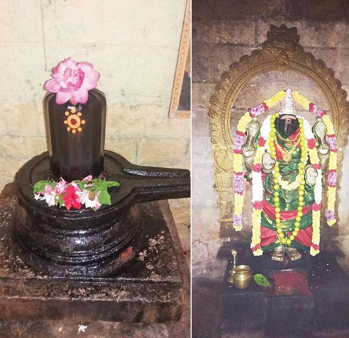 பசு காட்டிய பாதை!