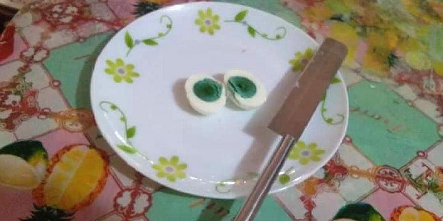 மஞ்சளுக்கு பதில் பச்சைக் கருவுடன் கோழி முட்டை: விஞ்ஞானிகள் ஆராய்ச்சி