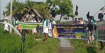 மின்சாரத் திருத்தச் சட்டத்தைக் கண்டித்து விவசாயிகள் வயலில் கருப்புக்கொடி ஏந்தி ஆர்ப்பாட்டம்