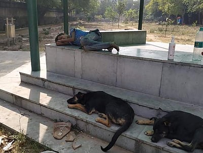 ஊரடங்கால் பூங்காவில் தஞ்சமடைந்த சிறுவன் சுட்டுரையால் பெற்றோருடன் இணைந்தார்