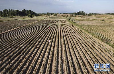 சீனாவில் கோடைக்கால வேளாண்மை