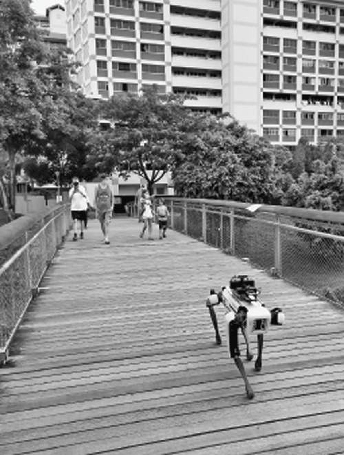 சமூக இடைவெளி... எச்சரிக்கும் நாய் ரோபோக்கள்!