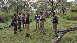 கொடைக்கானல் மேல்மலைக் கிராமங்களில் நடமாடும் வன விலங்குகளை கூண்டு வைத்து பிடிக்க வலியுறுத்தல்