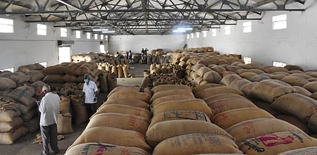 நெல், எள் கொள்முதல் விலை சரிவு: விவசாயிகள் வேதனை