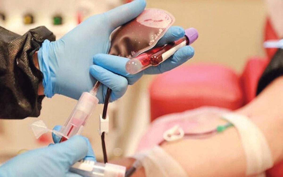 கரோனாவுக்கு பிளாஸ்மா சிகிச்சை!