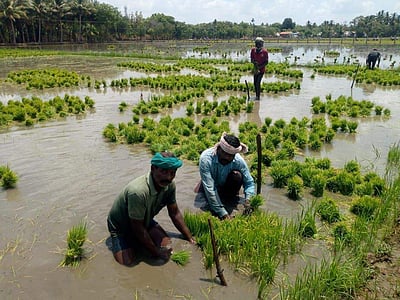 மேட்டூர் அணைத் திறப்பை எதிர்நோக்கும் விவசாயிகள்