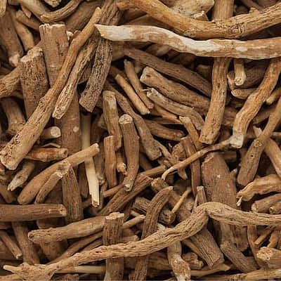 அஸ்வகந்தா குறித்த ஆய்வுகள் 111% அதிகரிப்பு! 