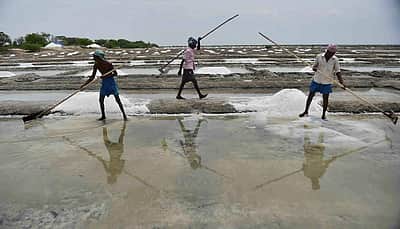 மரக்காணம் உப்பளத்தில் உப்பு குவியல்