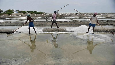 மரக்காணம் உப்பளத்தில் உப்பு குவியல்