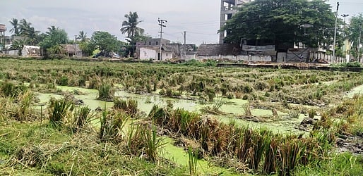 தமிழக குளத்தை தூா்வாரும் புதுவை அரசு!