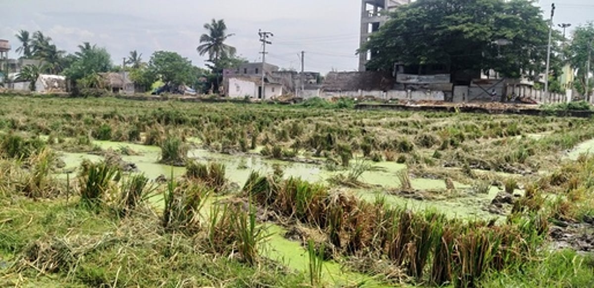 தமிழக குளத்தை தூா்வாரும் புதுவை அரசு!