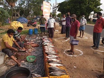 ஈரோடு மாநகராட்சி பகுதிகளில் இன்று இறைச்சிக் கடைகளில் மாநகராட்சி அதிகாரிகள் அதிரடி ஆய்வு 