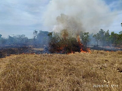 மின்கம்பியில் மூங்கில் கம்புகள் உரசியதால் ஆதமங்கலத்தில் தீ விபத்து