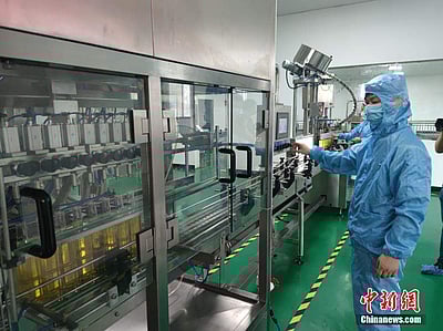 தேயிலை விவசாயிகளின் வருமானம் அதிகரிப்பு