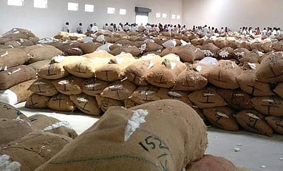 முன்னெச்சரிக்கையுடன் மூலனூரில் மீண்டும் பருத்தி விற்பனை 