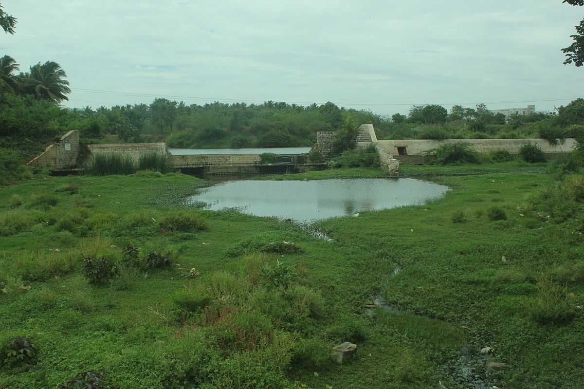 மஞ்சப்பள்ளம் ஆற்று தடுப்பணைகளை சீரமைக்கரூ.2.62 கோடி நிதி ஒதுக்கீடு செய்த முதல்வா்: அரசாணைக்கு காத்திருக்கும் அதிகாரிகள்