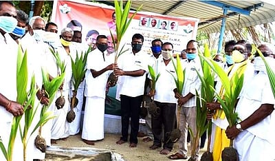 ராகுல்காந்தி பிறந்தநாள் விழா: சங்ககிரியில் 250 விவசாயிகளுக்கு தென்னங்கன்று வழங்கல்