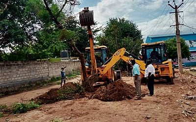 கம்பத்தில் சாலை அமைக்க இடையூறு: மரங்களை மாற்று இடத்தில் நட்ட அதிகாரிகள்