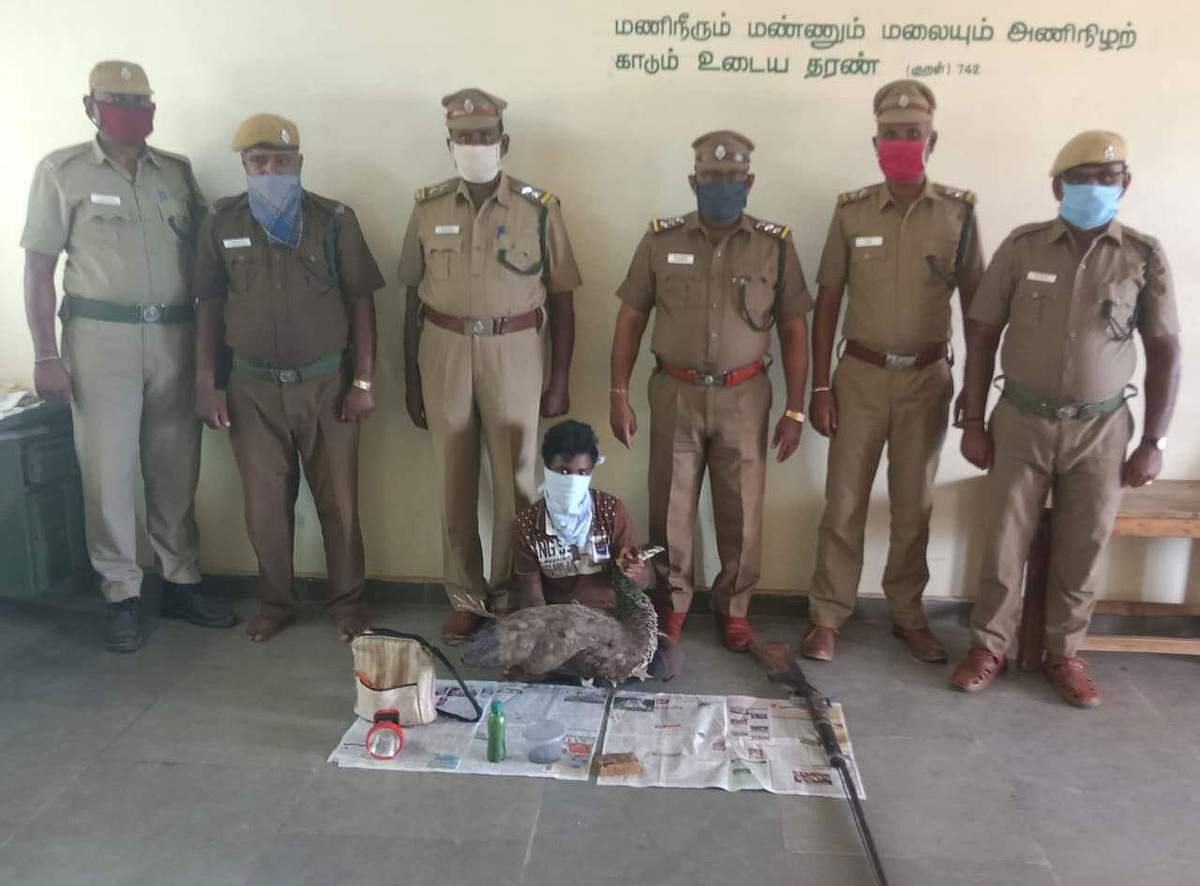 News image
