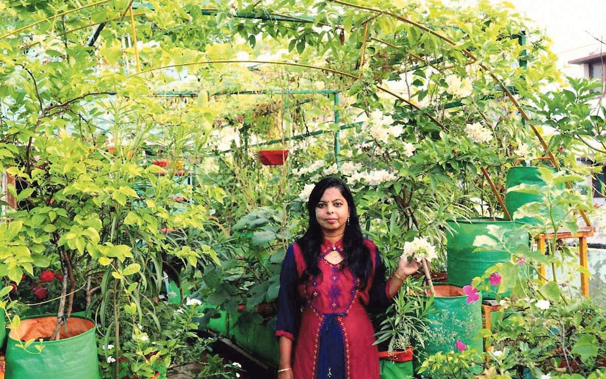 மாடித்தோட்டம்: அர்ப்பணிப்பு இருந்தால் ஜெயிக்கலாம்