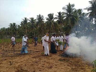 மரவள்ளிப் பயிர்களை தீயிட்டு அழிக்கும் விவசாயிகள்!