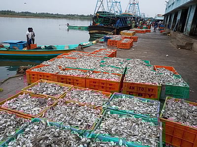 கரை திரும்பின விசைப்படகுகள்:மீன்கள் வரத்து குறைவுகாரைக்கால் மீனவா்கள் ஏமாற்றம்