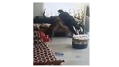 குழந்தை இல்லாததால் கணவர் கொடுமை: மனைவி தற்கொலை