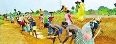 ஊரக வேலை உறுதித் திட்டம்: உழவுப் பணிகளுக்கு உதவுமா?