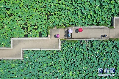 சீன டிராகன் படகு விழா: விடுமுறையில் சுற்றுலா துறை 