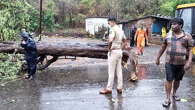 கரையைக் கடந்தது நிசர்கா புயல்: மகாராஷ்டிரத்தில் மரங்கள், மின்கம்பங்கள் சாய்ந்தன