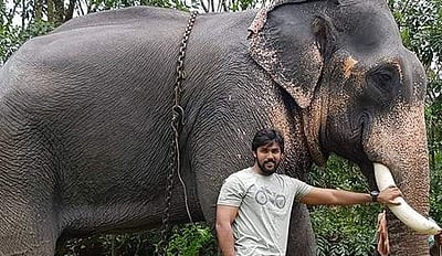 உலகின் கொடூரமான விலங்கு மனிதன் தான்: யானைக்கு நேர்ந்த கொடுமை பற்றி நடிகர் ஆரவ் வேதனை