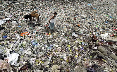 உலக சுற்றுச்சூழல் தினம்