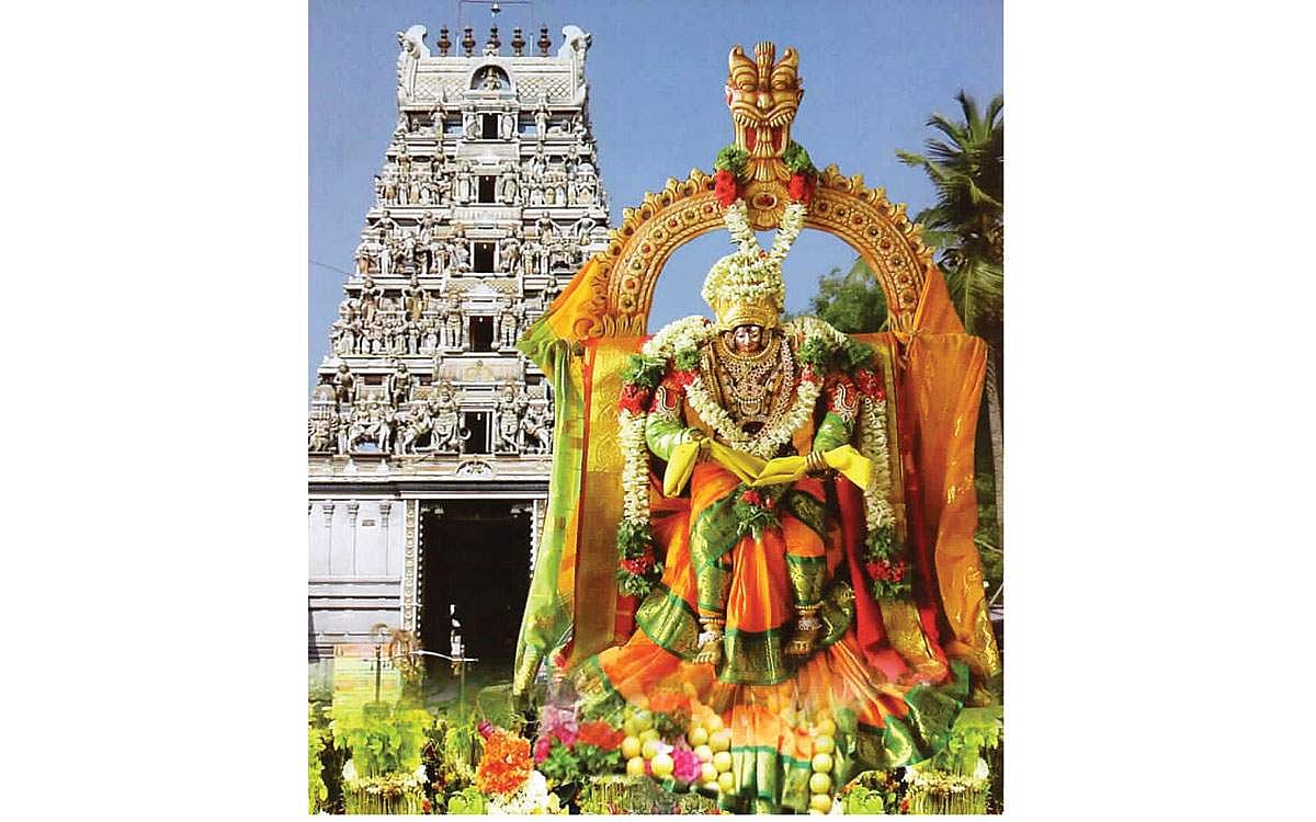 ஜெகம் புகழும் ஜெனகம்மா!