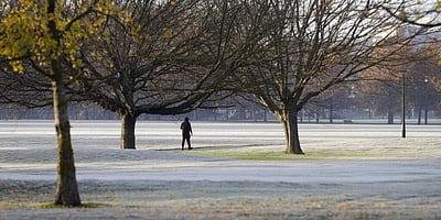 கரோனா பேரிடரைக் கச்சிதமாகக் கையாண்டு வெற்றி கண்ட நியூ சிலாந்து